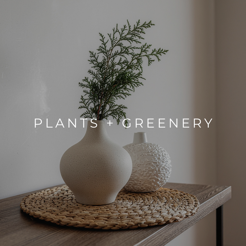 Plants + Greenery