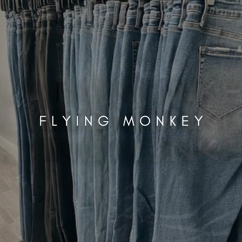 Flying Monkey