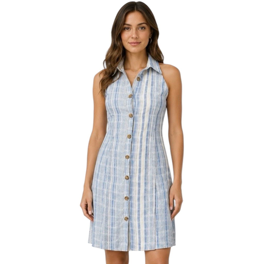 Blue Striped Sleeveless Button Down Dress