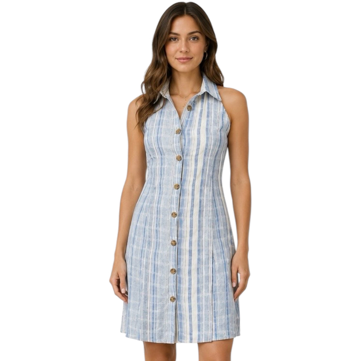 Blue Striped Sleeveless Button Down Dress