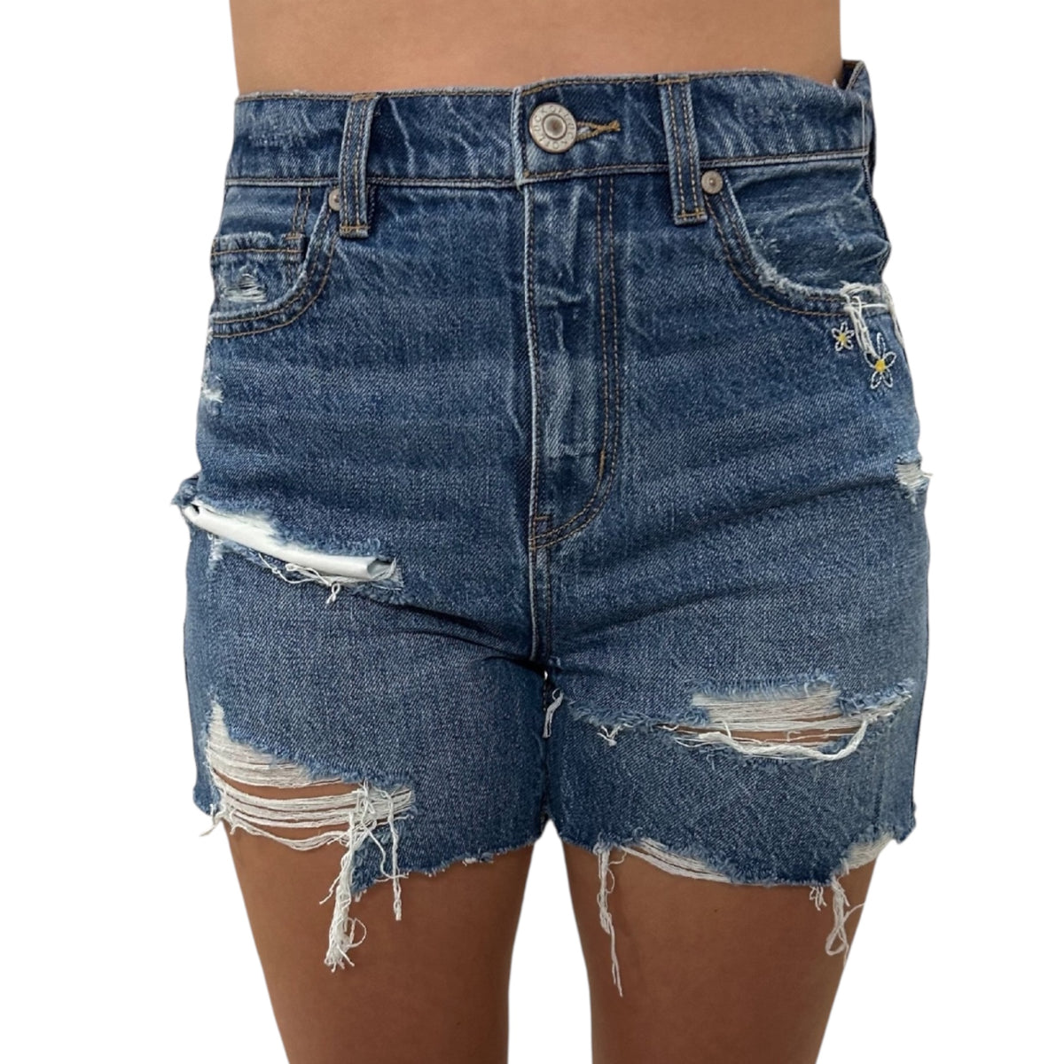 Of Luck High Rise Distressed Short