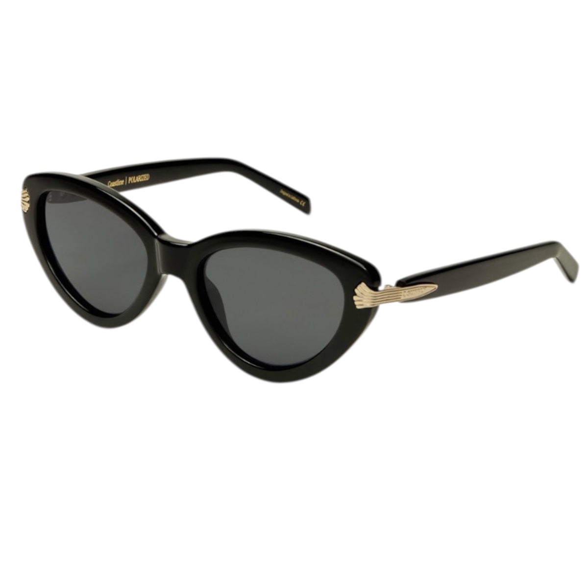 Z Supply Coastine Polished Black-Grey Polarized Sunglasses