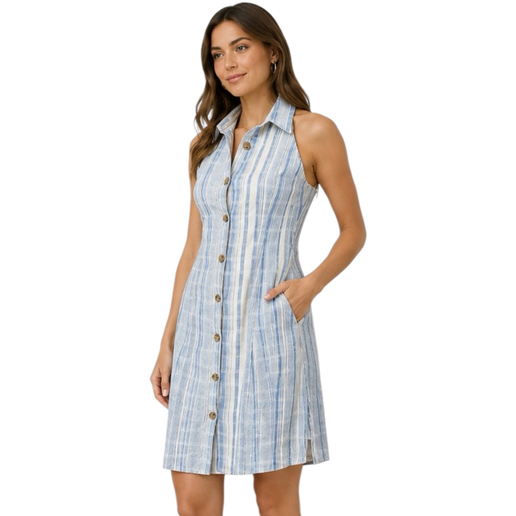 Blue Striped Sleeveless Button Down Dress