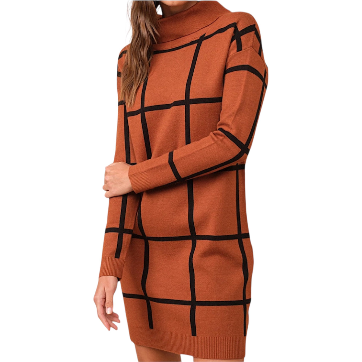 Copper Stripe Turtleneck Sweater Dress