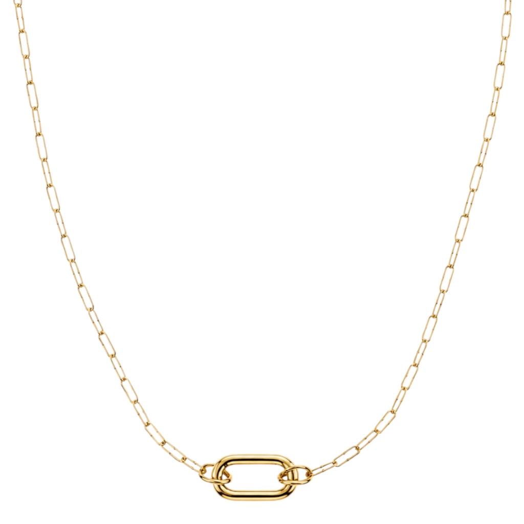 Gold Plated Charm Necklace
