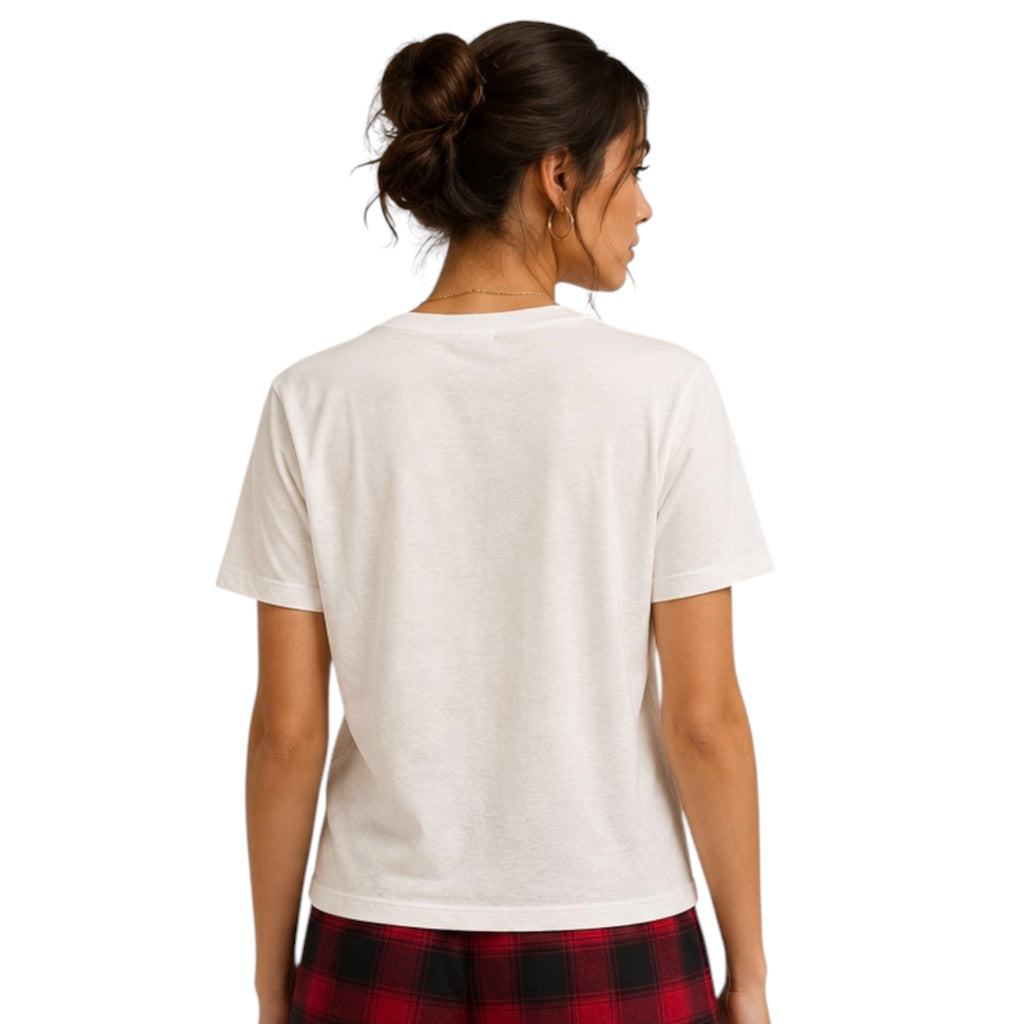 Z supply Boyfriend Nice Tee Vanilla Ice