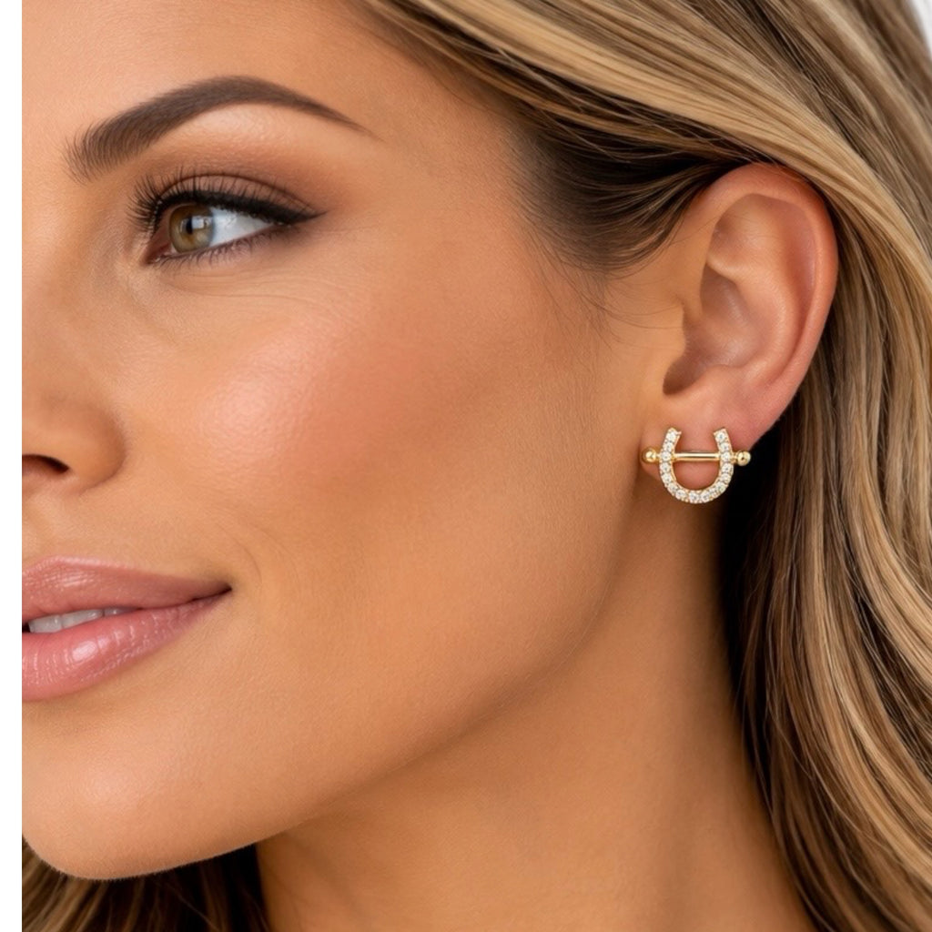 Forever In My Heart CZ Horseshoe Stud Earrings