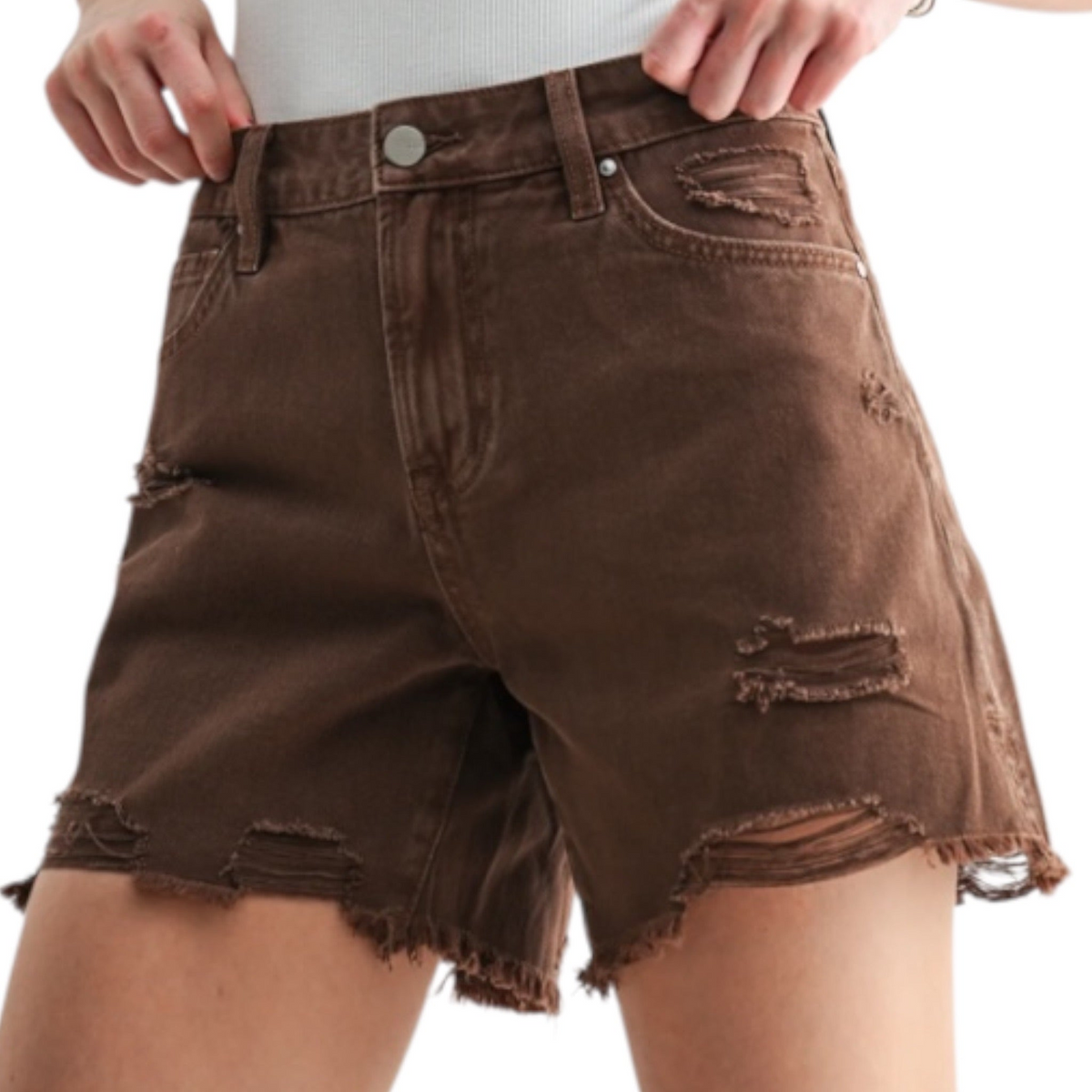 MICA MDP-H626DE Dark Espresso Midi Shorts